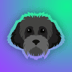 MYRO